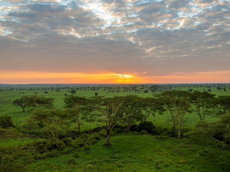 Photographing the Serengeti National park