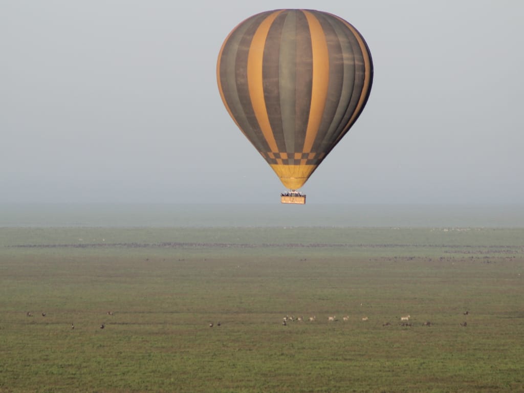 Miracle Experience Balloon Safaris guests enjoying Adventure of a Lifetime