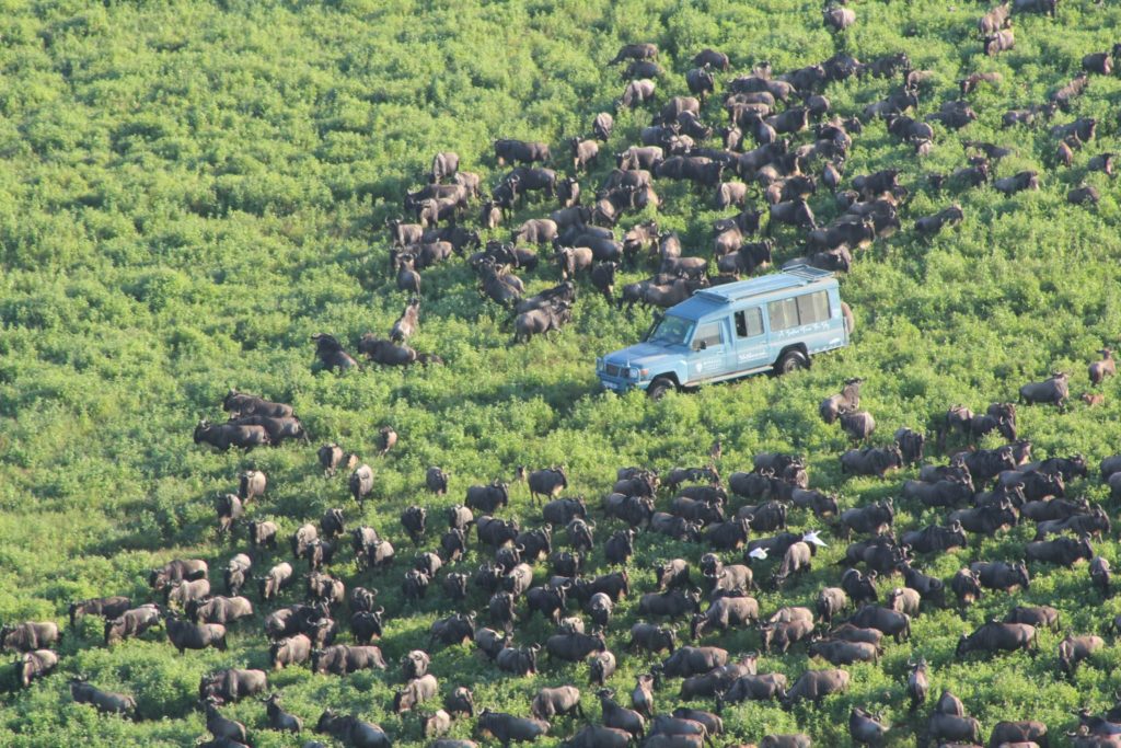 Miracle experience vehicle in the middle of the Serengeti depicts Balloon Safari in the Serengeti