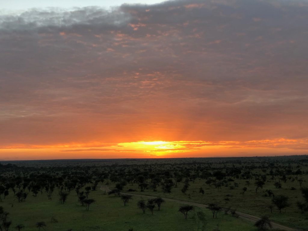The sunrise in the Serengeti, as seen from a Miracle Experience Balloon Safari in Tanzania