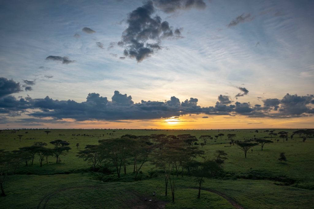 The sun rising over the Serengeti Endless Plains