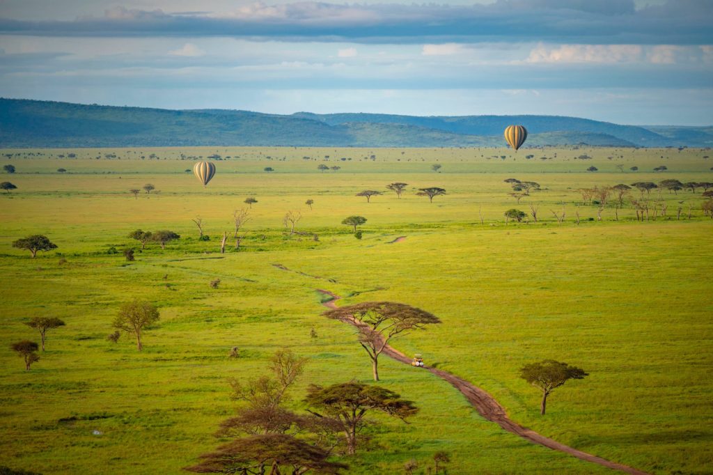 An amazing view of the Serengeti with Miracle Experience balloons and seeing Endless Plains
