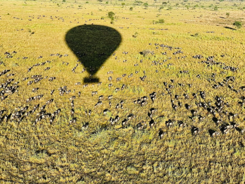 The View Of Tarangire National Park From The Miracle Experience Balloon View