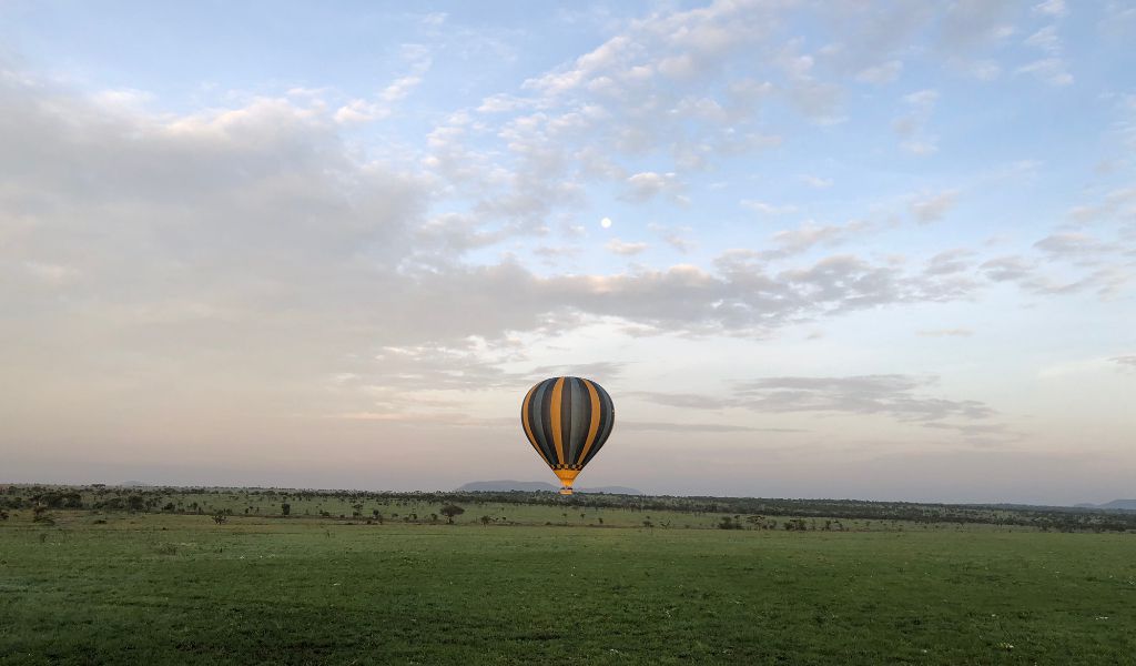Ballooning for All Ages including Adults and the Elderly 