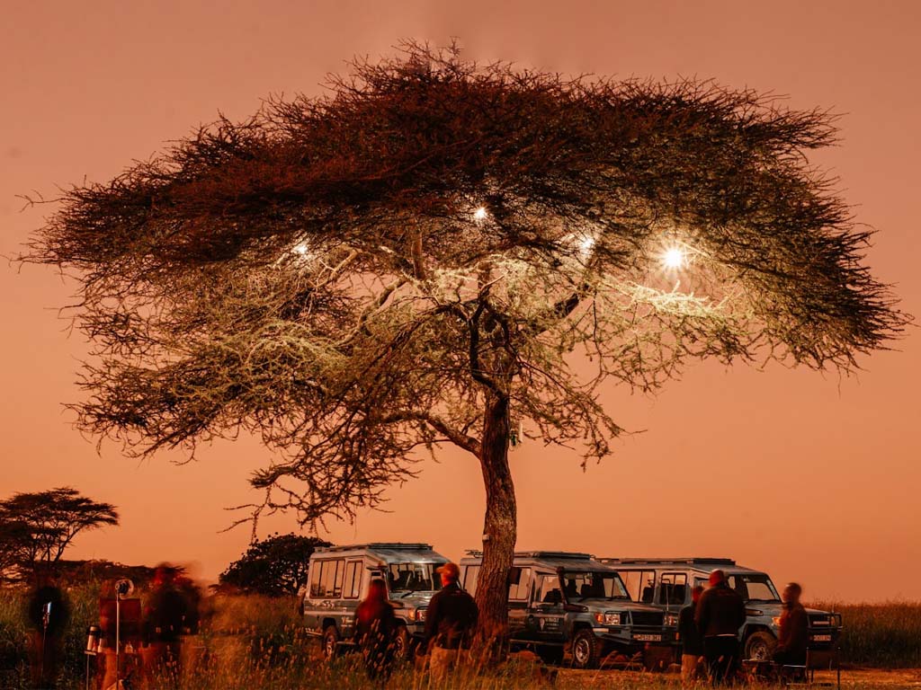 A romantic sunrise ride over Tanzania's stunning landscapes with hot air balloon safaris