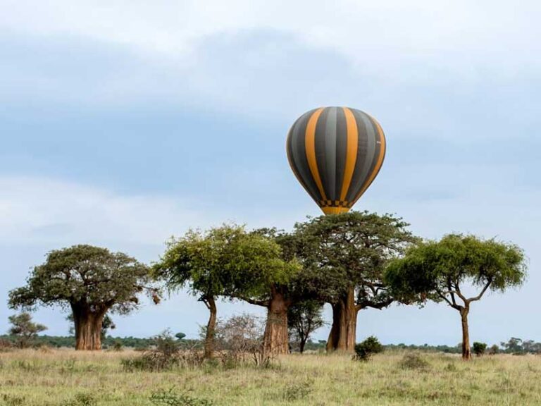 Miracle Balloons at The Tarangire National Park