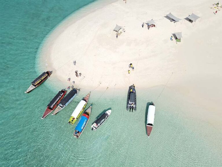 Reef Rhythms and Sandbank Serenity: Zanzibar’s Coastal Charms